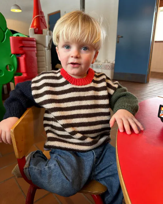Hovedbilde Holger Sweater