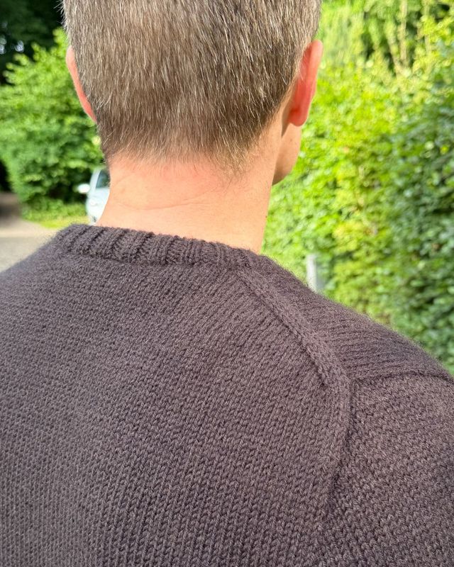 Petite Knit Niels Sweater 