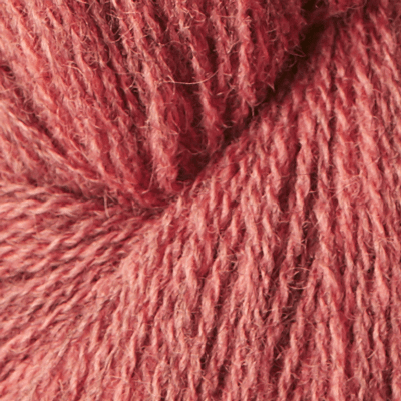 Isager Tvinni (100g)