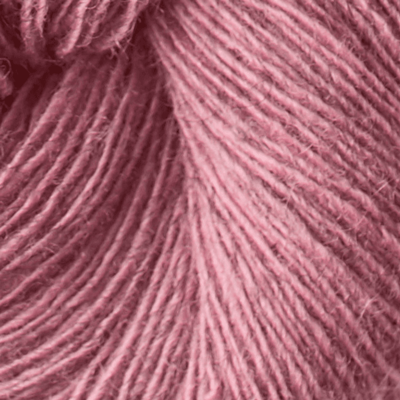 Isager Spinni (100g)