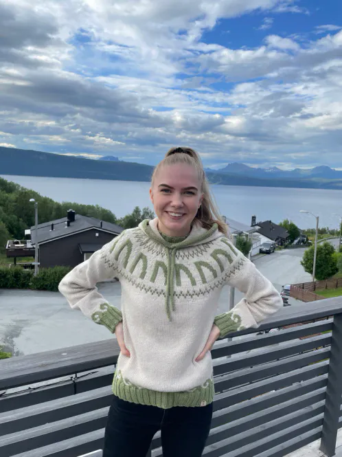 Hovedbilde Haikjeften genser